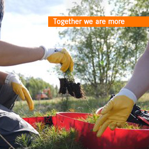 Environment together