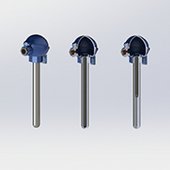 Immersible thermowells